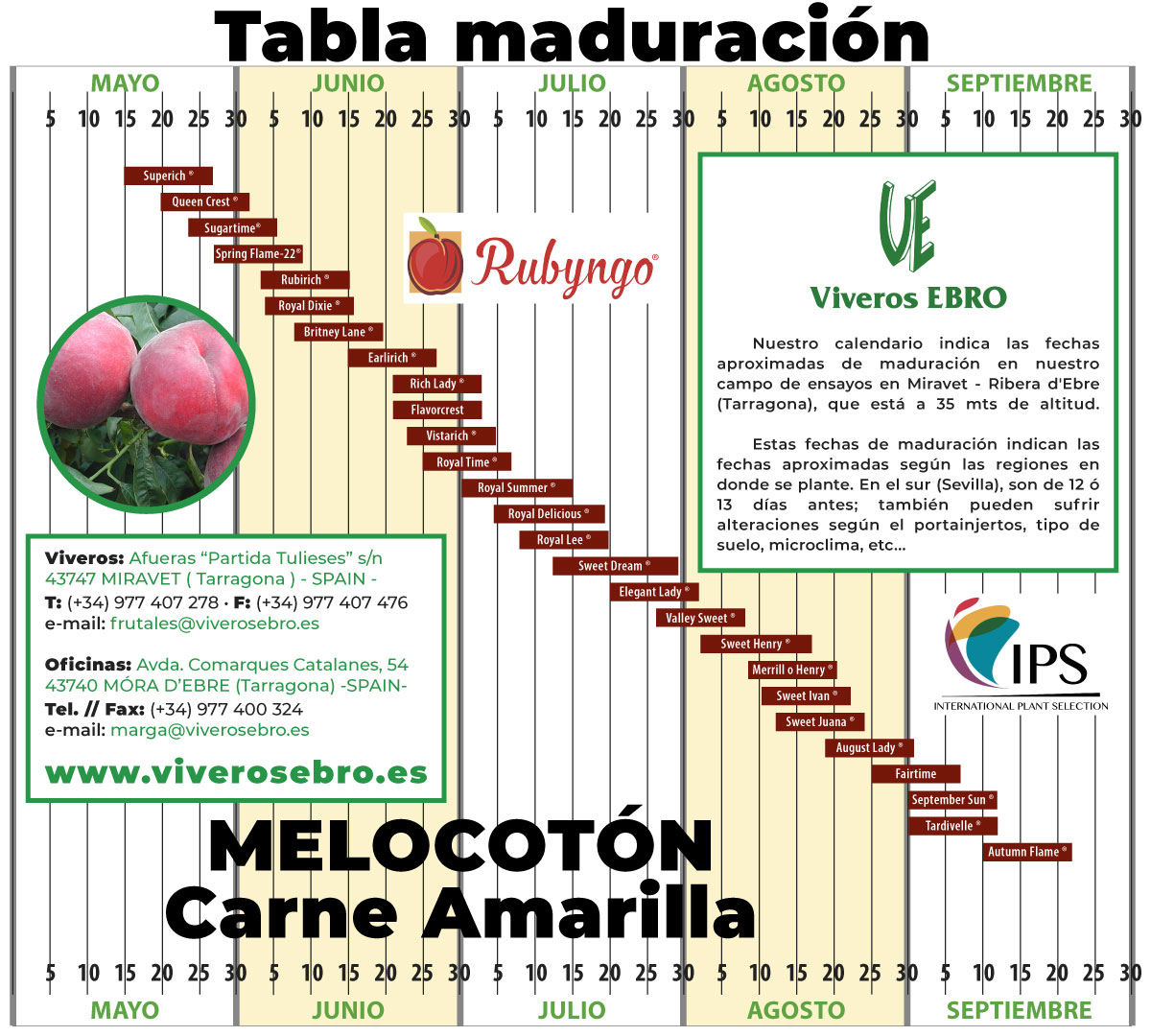 Cuadro Maduracion Melocoton Carne Amarilla 2021